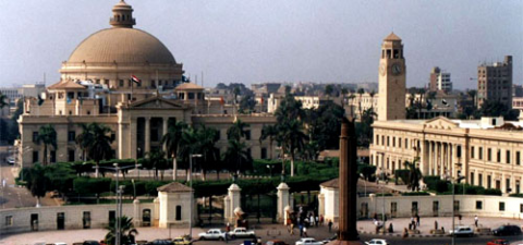 Египет временно закрывает учебные заведения из-за A/H1N1