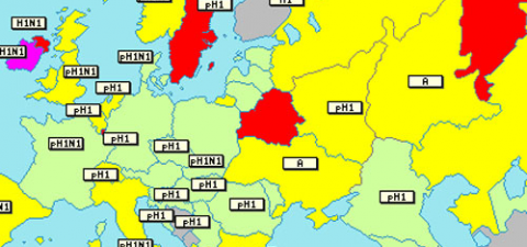 ВОЗ: Беларусь входит в число стран с ростом активности свиного гриппа
