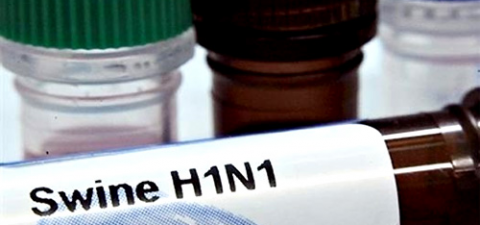 Минздрав: На 5 ноября лабораторно подтверждено 85 случаев гриппа А H1N1