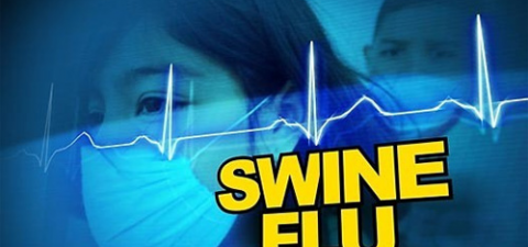 Медики боятся возникновения гибрида "свиного" и "птичьего" гриппа