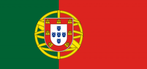 Почти 150 новых случаев заражения свиным гриппом выявлены в Португалии