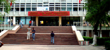 Турецкие студенты повально заражаются свиным гриппом