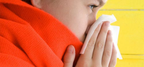 Очередной виток эпидемии гриппа ожидается в конце января — начале февраля