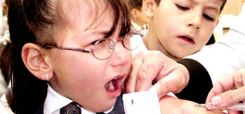 Правительство Чехии одобрило проведение вакцинации детей против вируса «свиного гриппа»